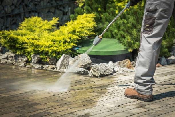 Best Spring Cleaning  in Spring Mount, PA